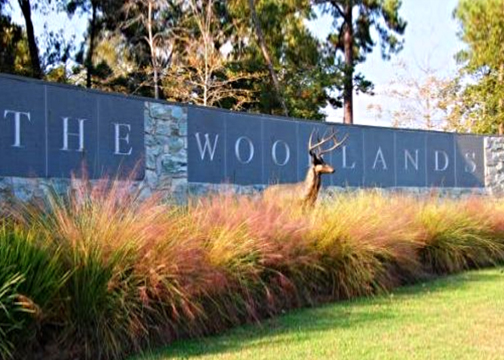 Replacement Windows in The Woodlands, Texas