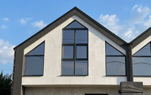 Black aluminum windows on a modern home
